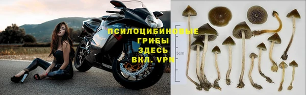 амфетамин Михайловск