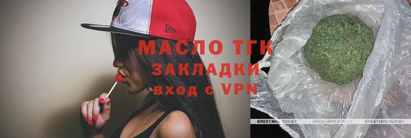 spice Михайлов