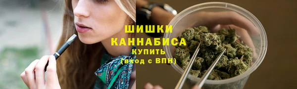 spice Михайлов