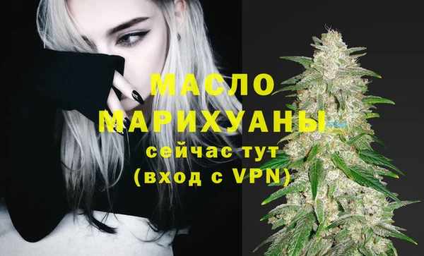 spice Михайлов