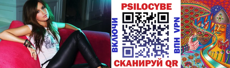 Галлюциногенные грибы GOLDEN TEACHER  где продают   Новоузенск 